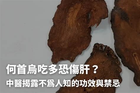 人參何首烏功效|何首烏秋冬進補怎麼吃？醫列功效禁忌＋何首烏藥膳做。